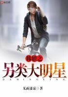 《韩娱之另类大明星》