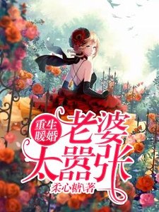 重生暖婚,老婆太嚣张