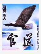 《官盗》