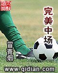 《完美中场》