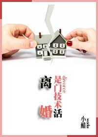 《离婚是门技术活》