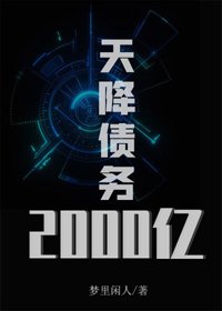 《天降债务2000亿》