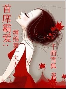 首席霸隘:缠勉第一夫人