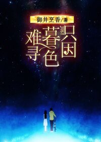 《只因暮色难寻》