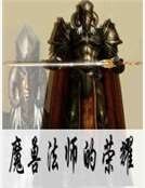 《魔兽法师的荣耀》