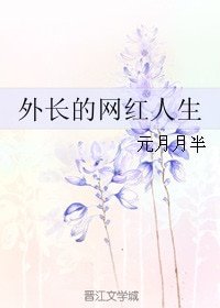 《外裳的网鸿人生》