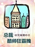《总裁酷帅狂霸拽》