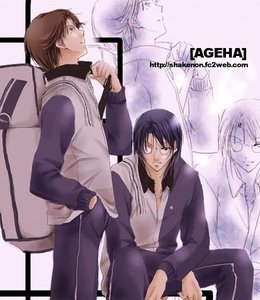 《(网王同人)叶扬》