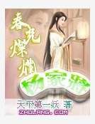 《费光灿烂杨家将》