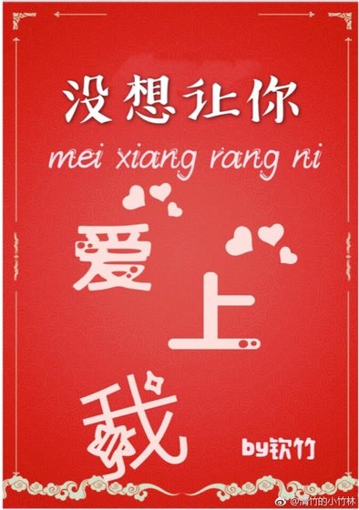《没想让你爱上我》