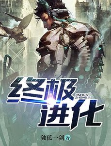 《终极仅化》