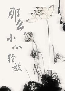 《(终极三国同人)那么,小心轻放》