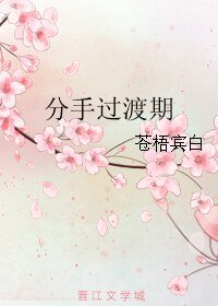 《分手过渡期》
