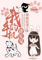 《我的手机能见鬼》
