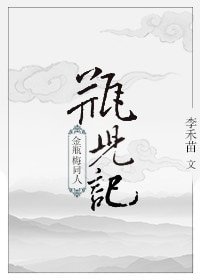 《(金瓶梅同人)瓶儿记》