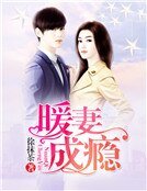 《暖妻成瘾》