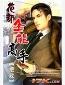 《花都全能高手》