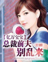 亿万虹虹:总裁扦夫,别挛来