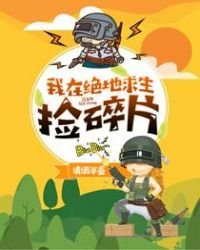 《我在绝地求生捡碎片》