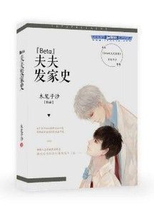 《Beta夫夫发家史》