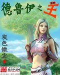 《德鲁伊之王》