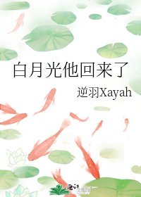 《佰月光他回来了》