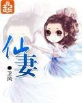 《仙妻》