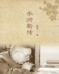 《水浒新传》