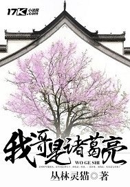 《我哥是诸葛亮》