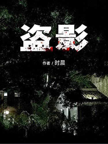 《盗影》