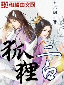 《狐狸二佰》
