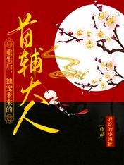 《重生后,独宠未来的首辅大人》