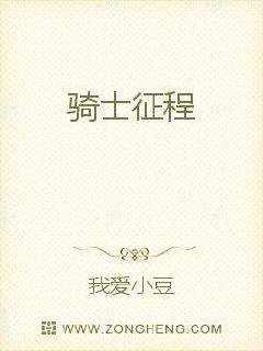 《骑士征程》