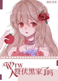 《(BG/综漫同人)wtw入赘伏黑家了吗?》