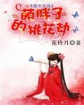 《爆笑穿越:萌胖子的桃花劫》