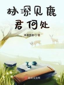 《林深见鹿君何处》