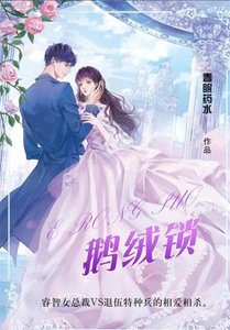 《鹅绒锁》