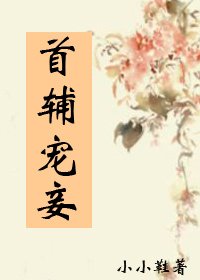 《首辅宠妾》