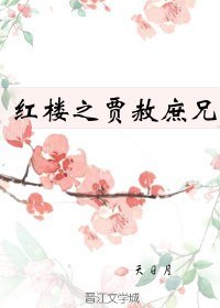 《(红楼同人)红楼之贾赦庶兄》
