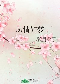 《凤情如梦》