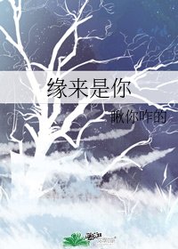 缘来是你