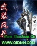 《武装风暴》