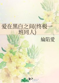 《爱在黑白之间(终极一班同人)》