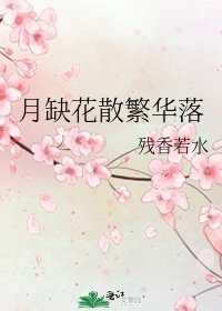 《月缺花散繁华落》