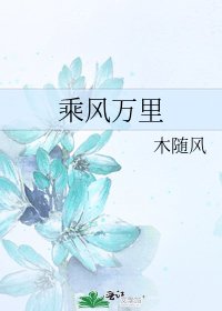 《乘风万里》