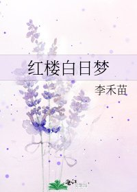 《红楼白日梦》