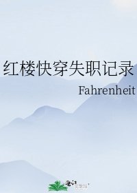 《红楼快穿失职记录》