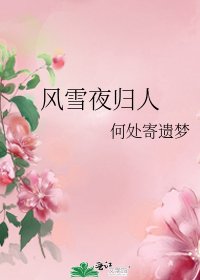 《风雪夜归人》