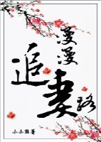 《漫漫追妻路》