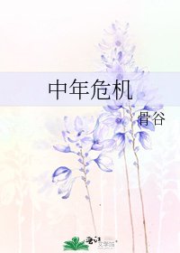 中年危机
